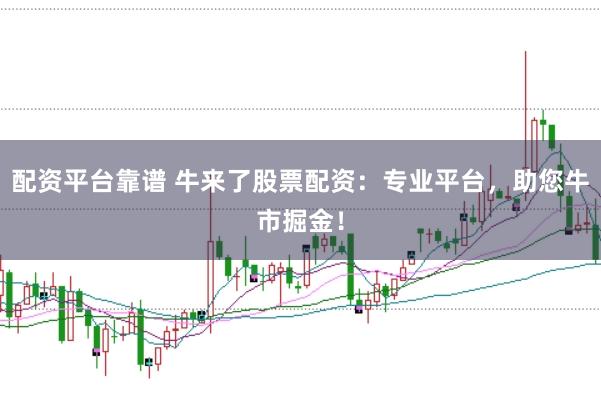 配资平台靠谱 牛来了股票配资：专业平台，助您牛市掘金！