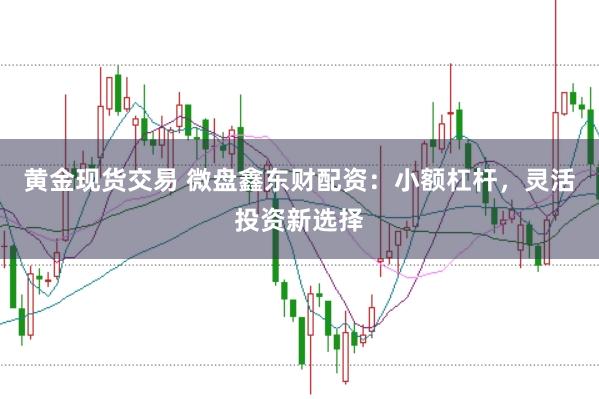 黄金现货交易 微盘鑫东财配资：小额杠杆，灵活投资新选择