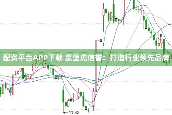 配资平台APP下载 赢壁虎信誉:打造行业领先品牌
