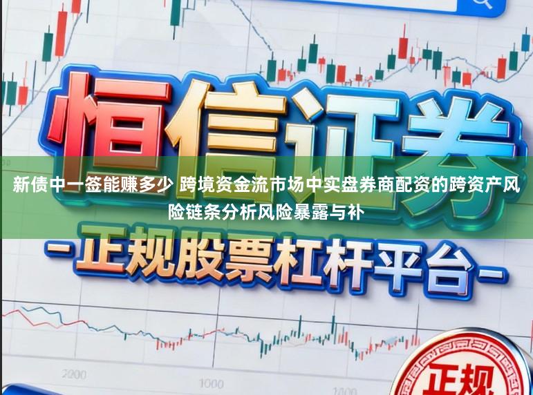 新债中一签能赚多少 跨境资金流市场中实盘券商配资的跨资产风险链条分析风险暴露与补