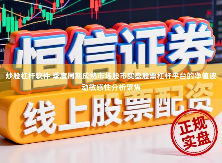 炒股杠杆软件 季度周期成熟市场股市实盘股票杠杆平台的净值波动敏感性分析聚焦