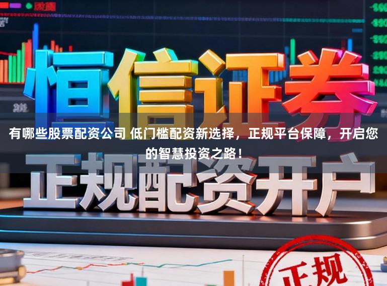 有哪些股票配资公司 低门槛配资新选择，正规平台保障，开启您的智慧投资之路！